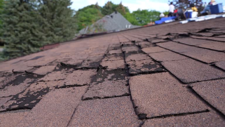 Cold Roofs