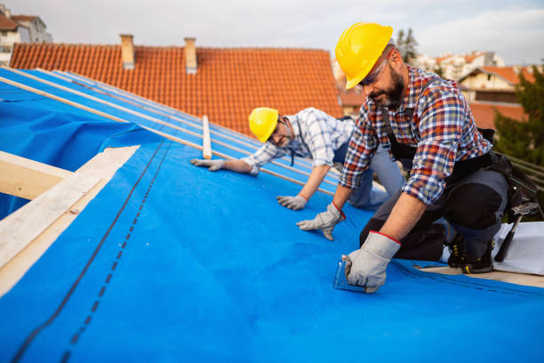 Best Chimney Flashing Repair  in Harbor Beach, MI