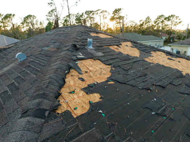 Best Roof Maintenance and Cleaning  in Harbor Beach, MI