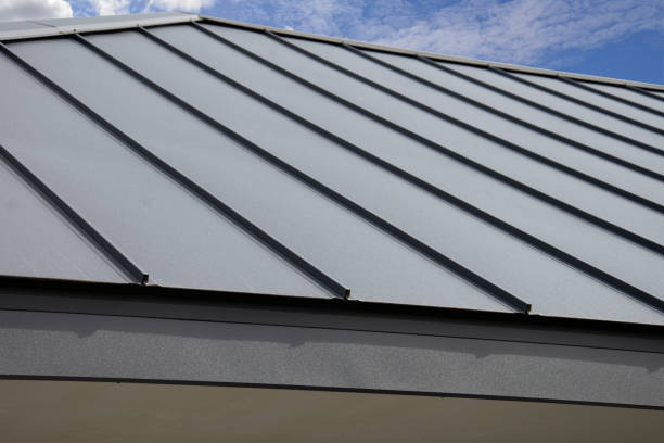 Best Roof Maintenance and Cleaning  in Harbor Beach, MI