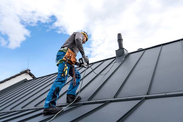 Best Roof Moss and Algae Removal  in Harbor Beach, MI