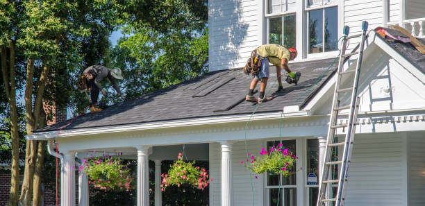 Best Roof Ventilation Installation  in Harbor Beach, MI